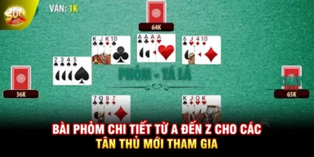Bài Phỏm Chi Tiết Từ A Đến Z Cho Các Tân Thủ Mới Tham Gia